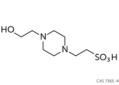 The Role of HEPES Buffer in Cell Culture Media